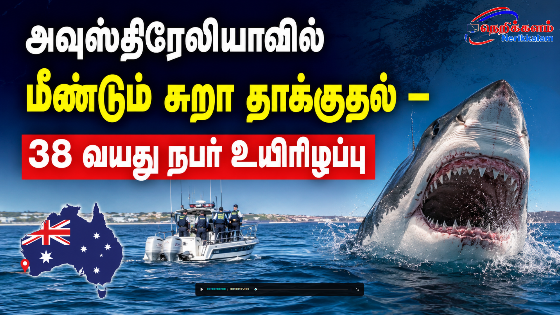 அவுஸ்திரேலியாவில் மீண்டும் சுறா தாக்குதல் – 38 வயது நபர் உயிரிழப்பு